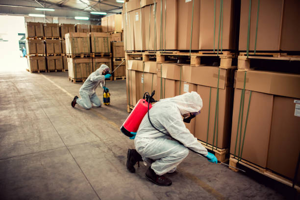 Best Termite Control Services  in Park City, TN