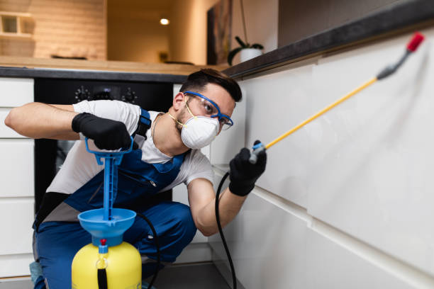 Best Bed Bug Extermination  in Park City, TN