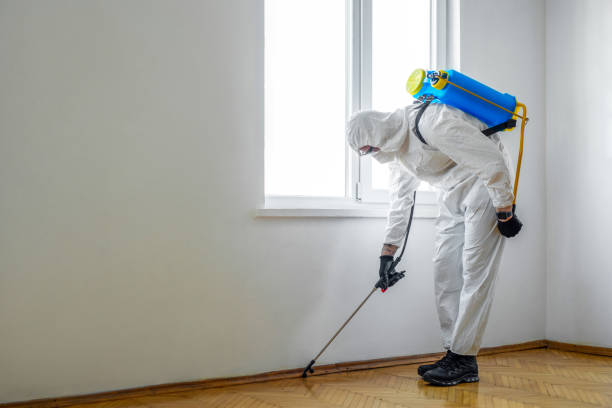 Best Flea Control Services  in Park City, TN