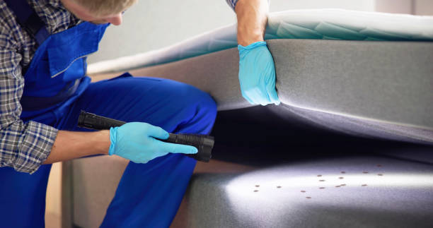 Best Pest Control Near Me  in Park City, TN