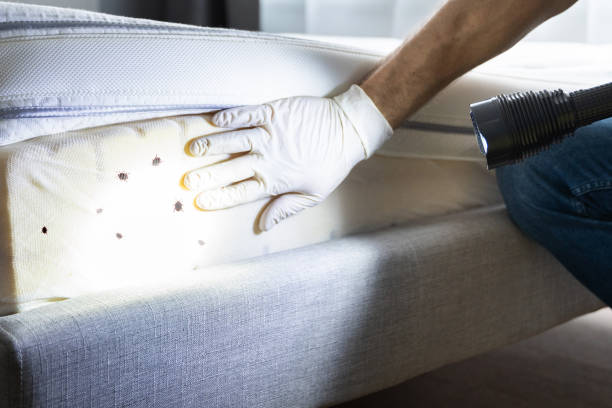 Best Commercial Pest Control Services  in Park City, TN