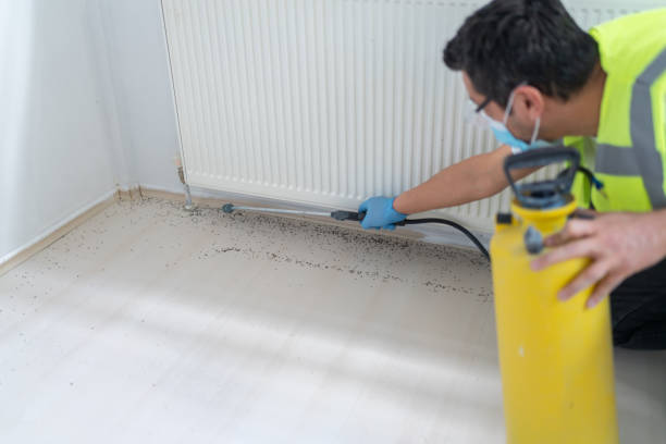 Wasp Removal Services in Park City, TN