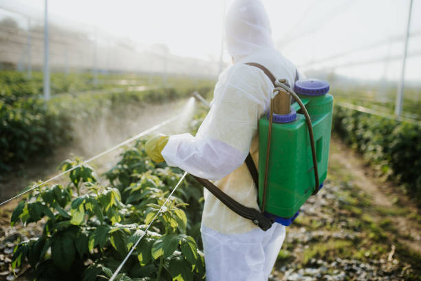 Best Flea Control Services  in Park City, TN